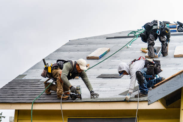 Professional Roof Replacement technician working in Grandin, ND